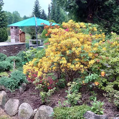 Апартаменты Enklawa Nad Kwisa 1